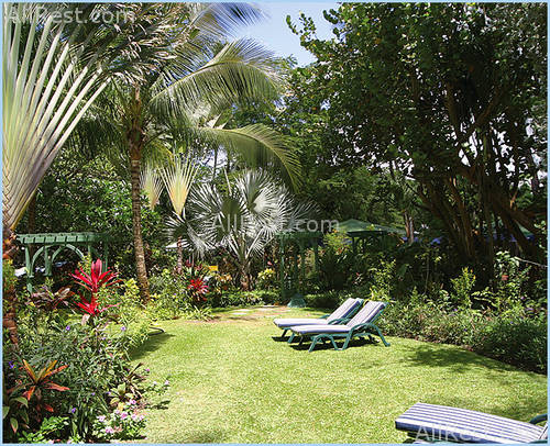 Almond Casuarina Beach Resort 15